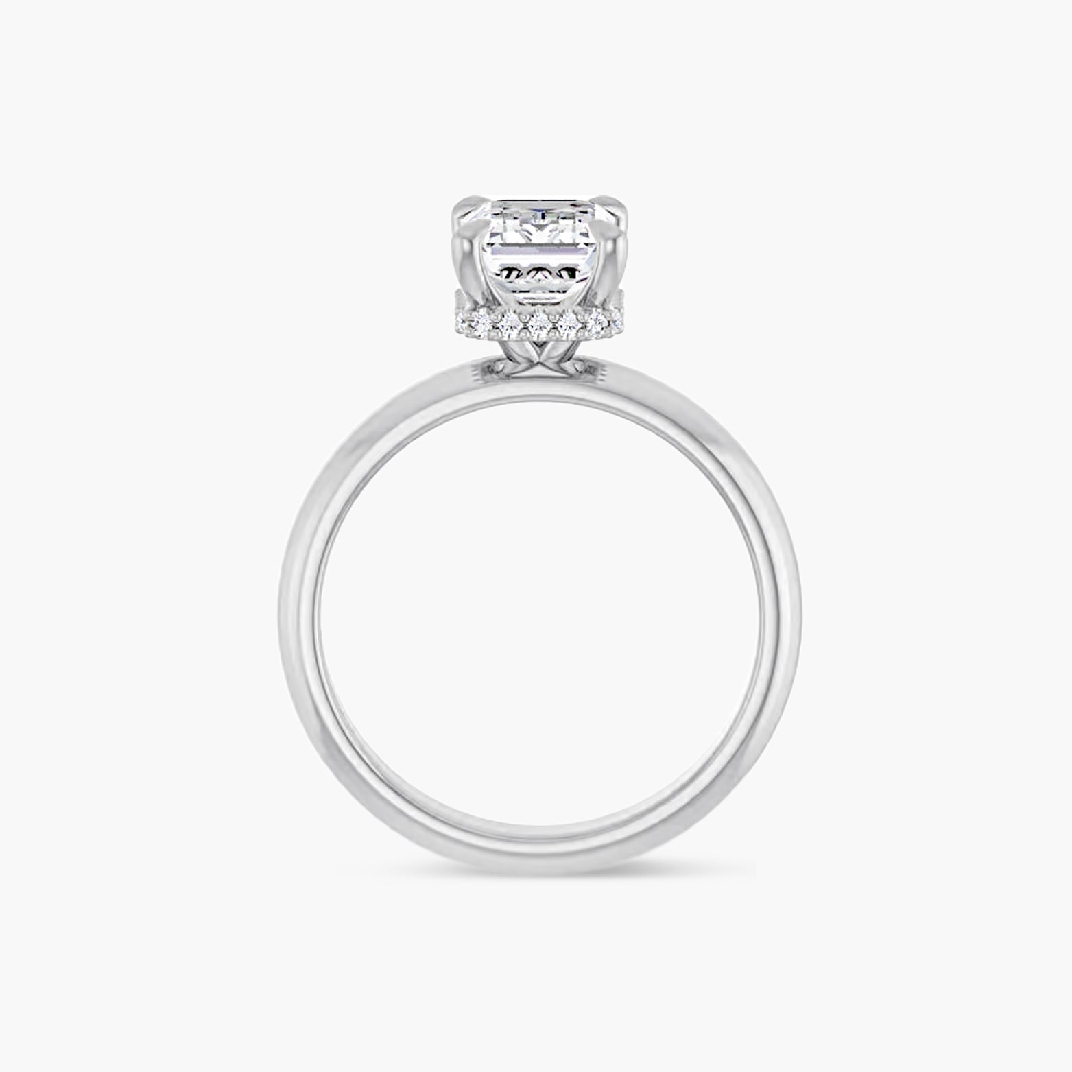 The Hidden Halo Wren