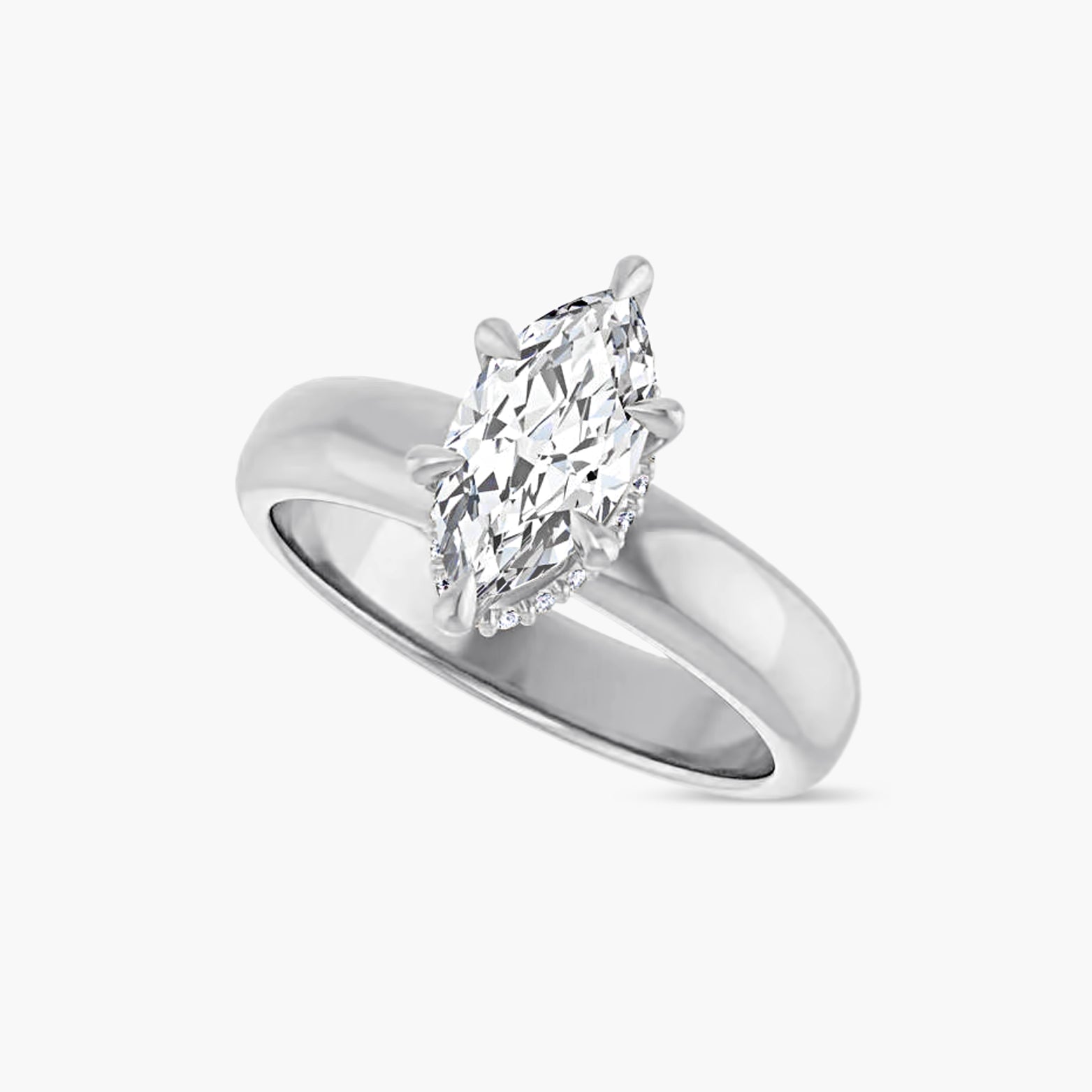 The Hidden Halo Wren