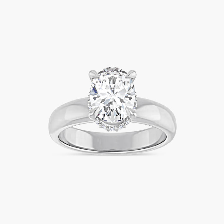 The Hidden Halo Wren  Oval