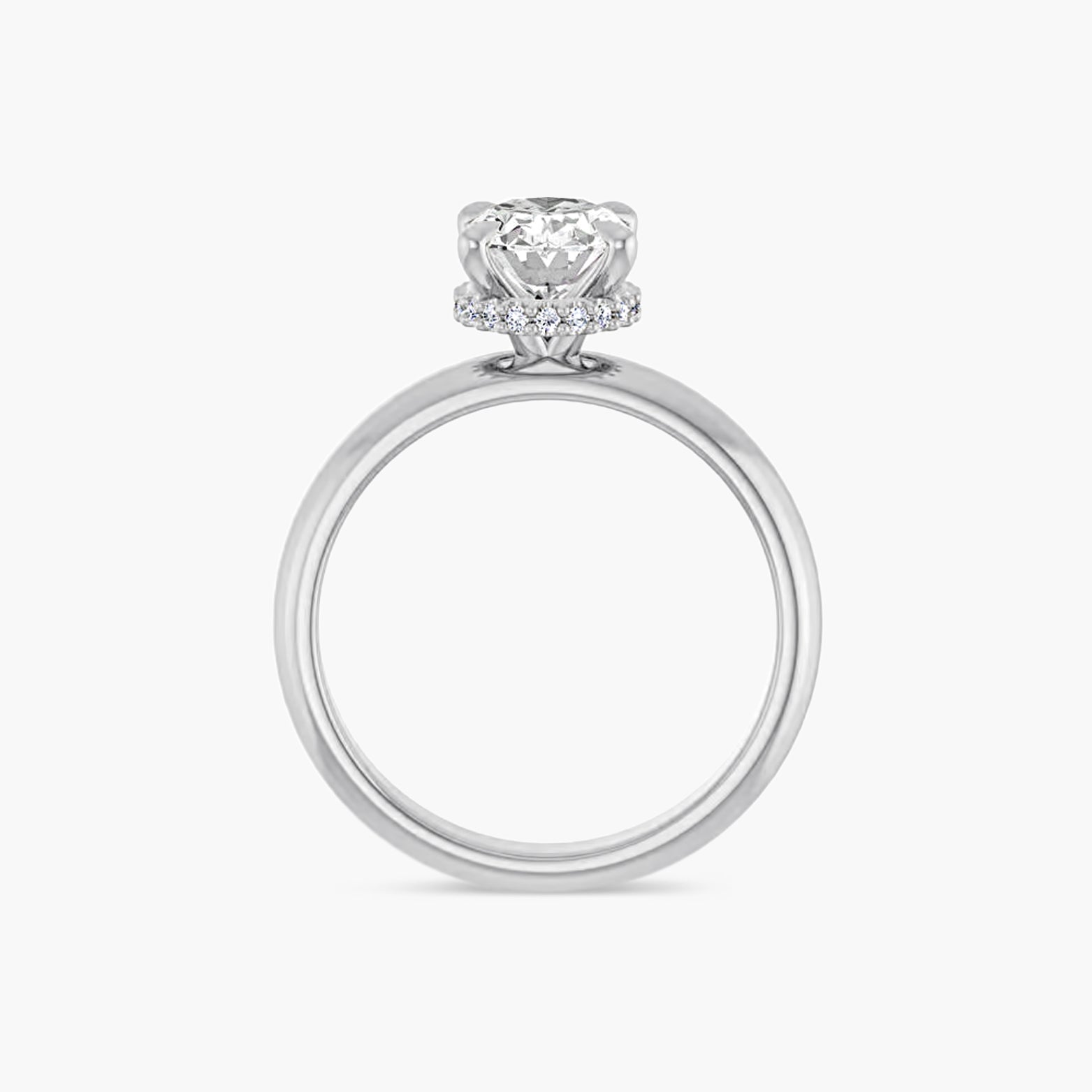 The Hidden Halo Wren