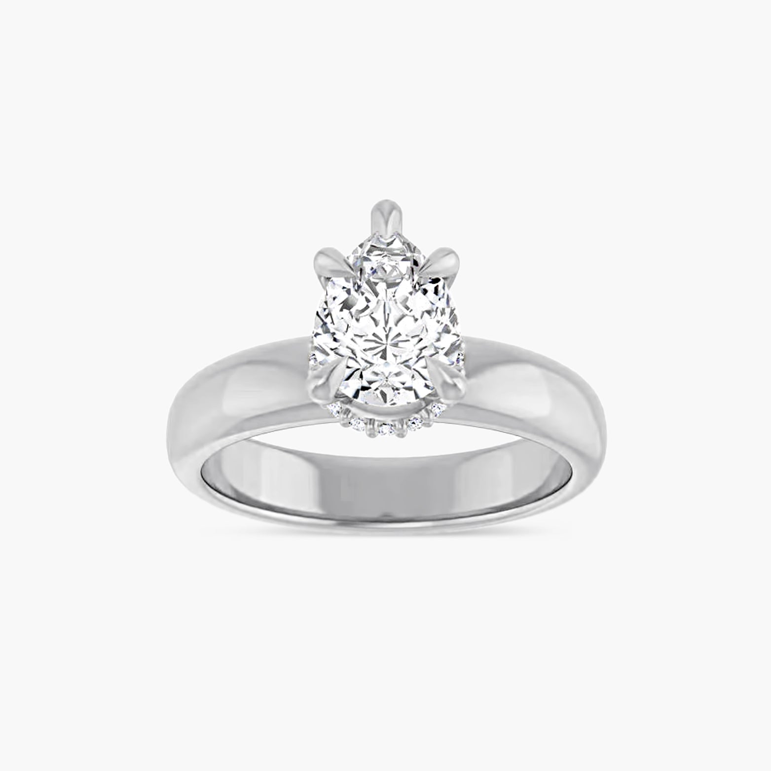 The Hidden Halo Wren