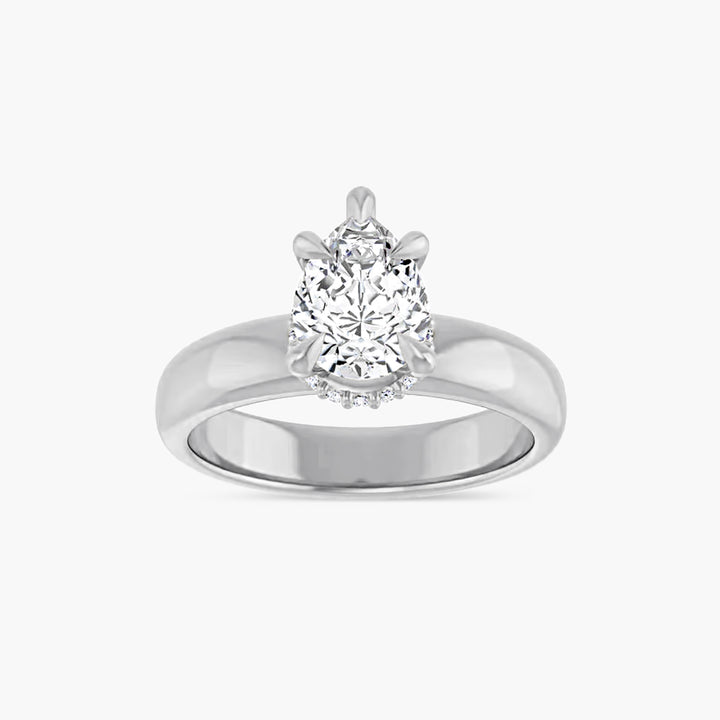 The Hidden Halo Wren  Pear