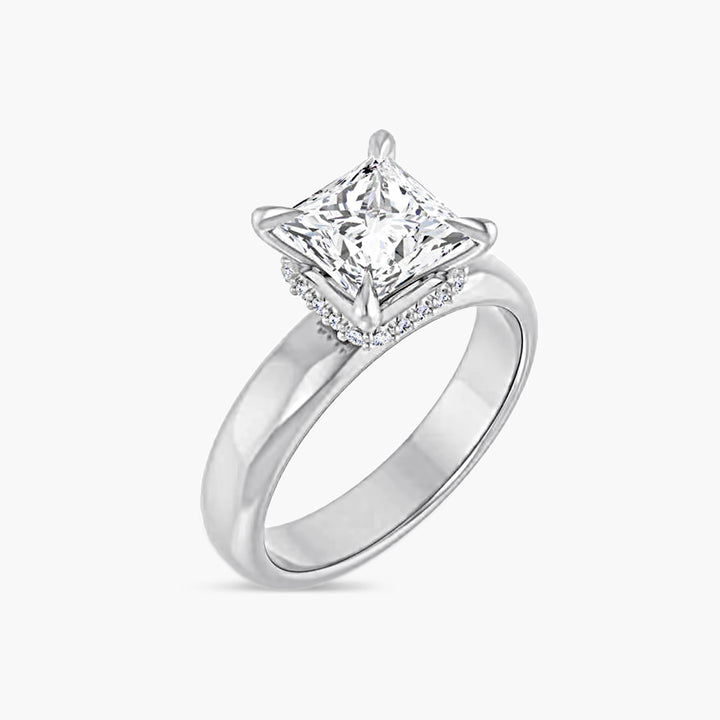 The Hidden Halo Wren Square