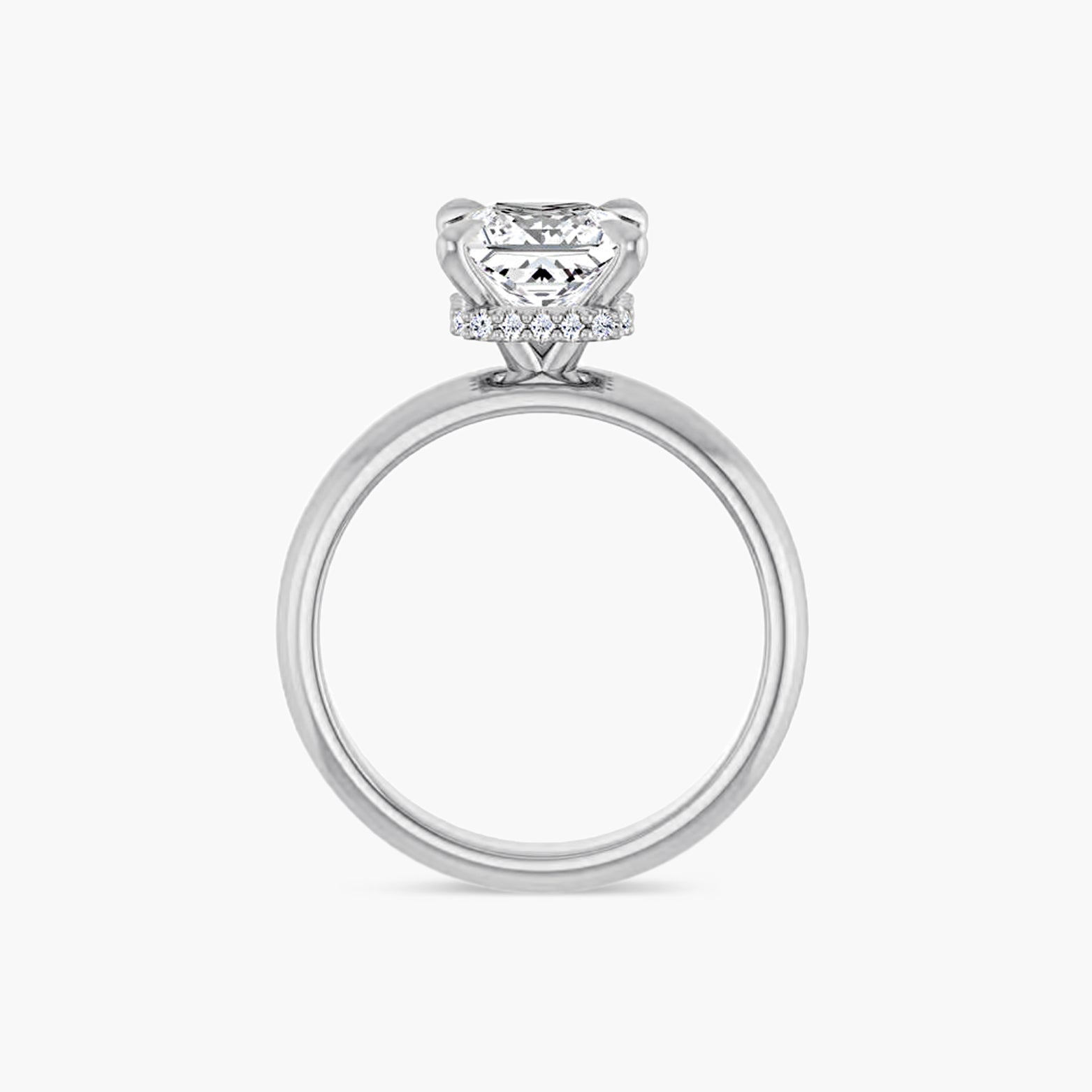 The Hidden Halo Wren