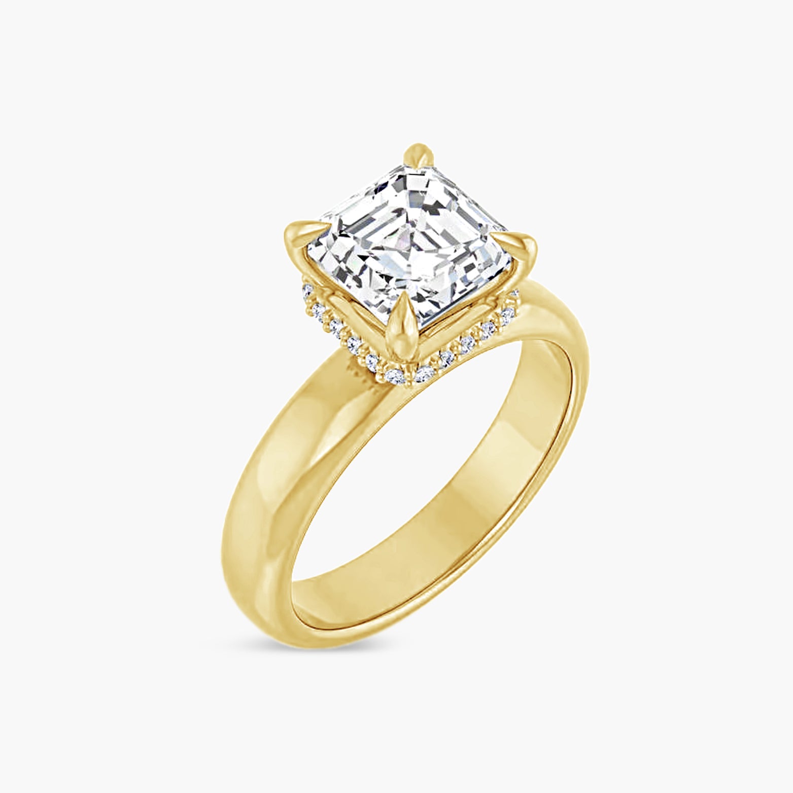 The Hidden Halo Wren