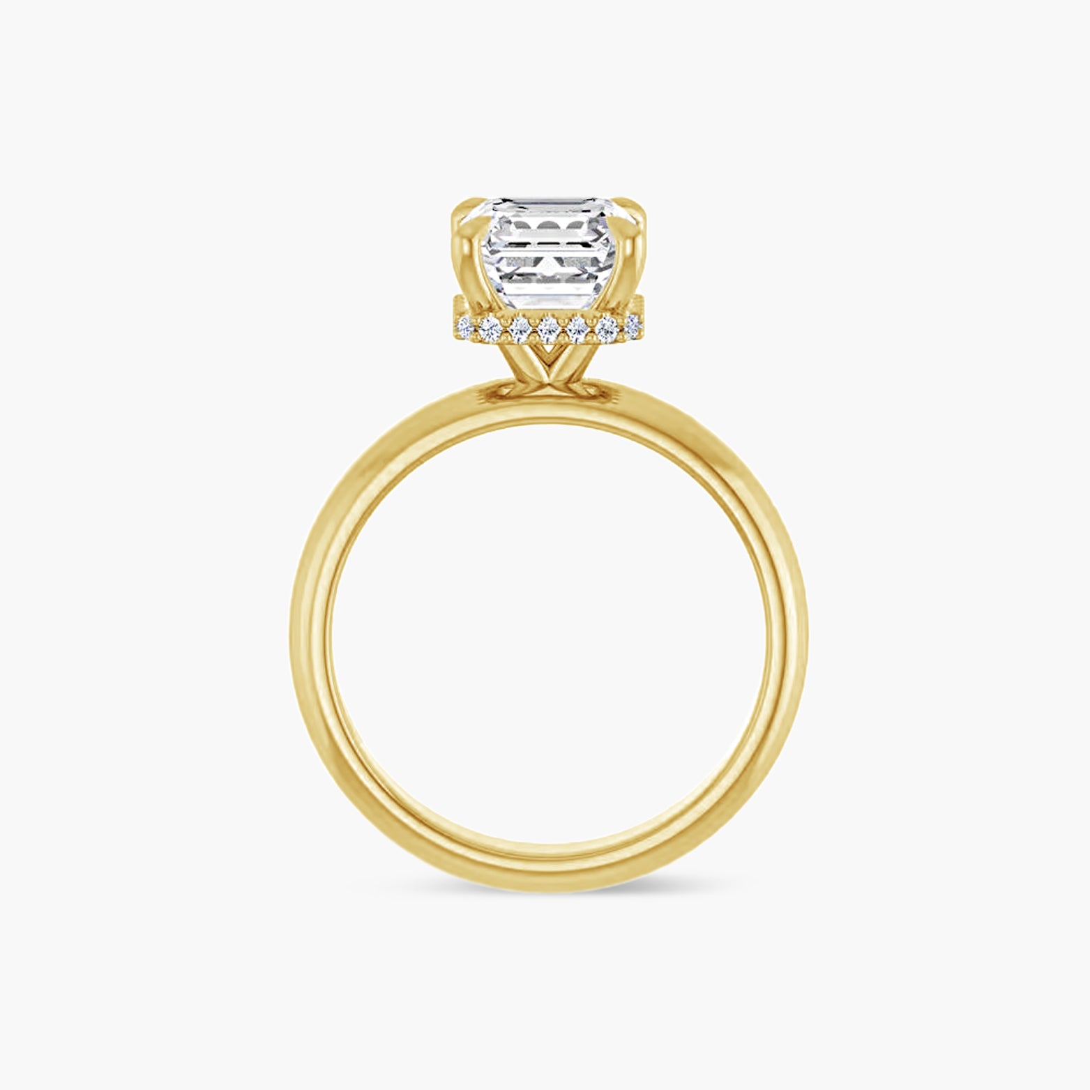 The Hidden Halo Wren