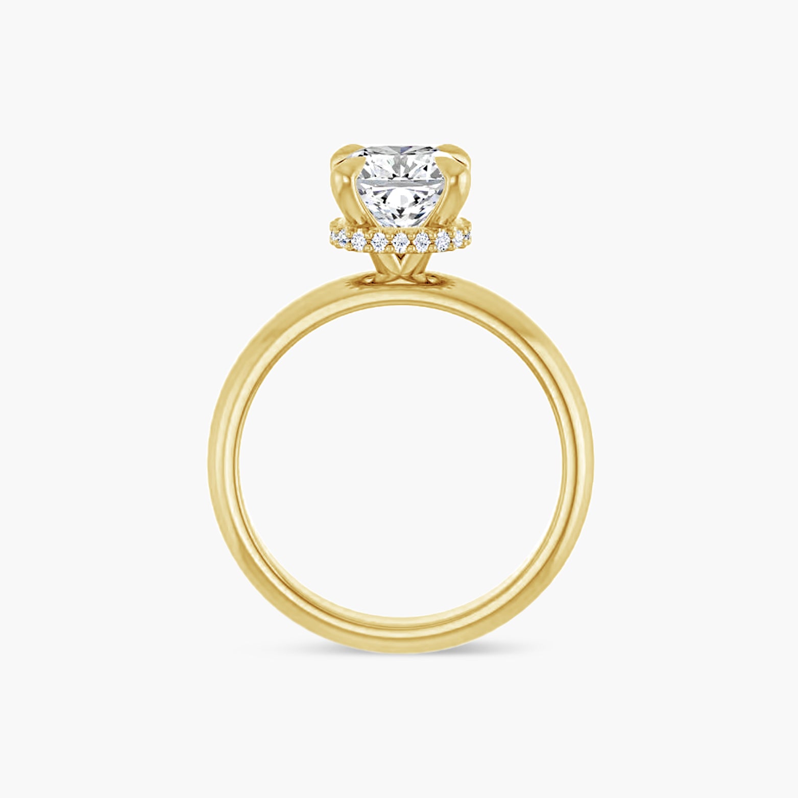 The Hidden Halo Wren