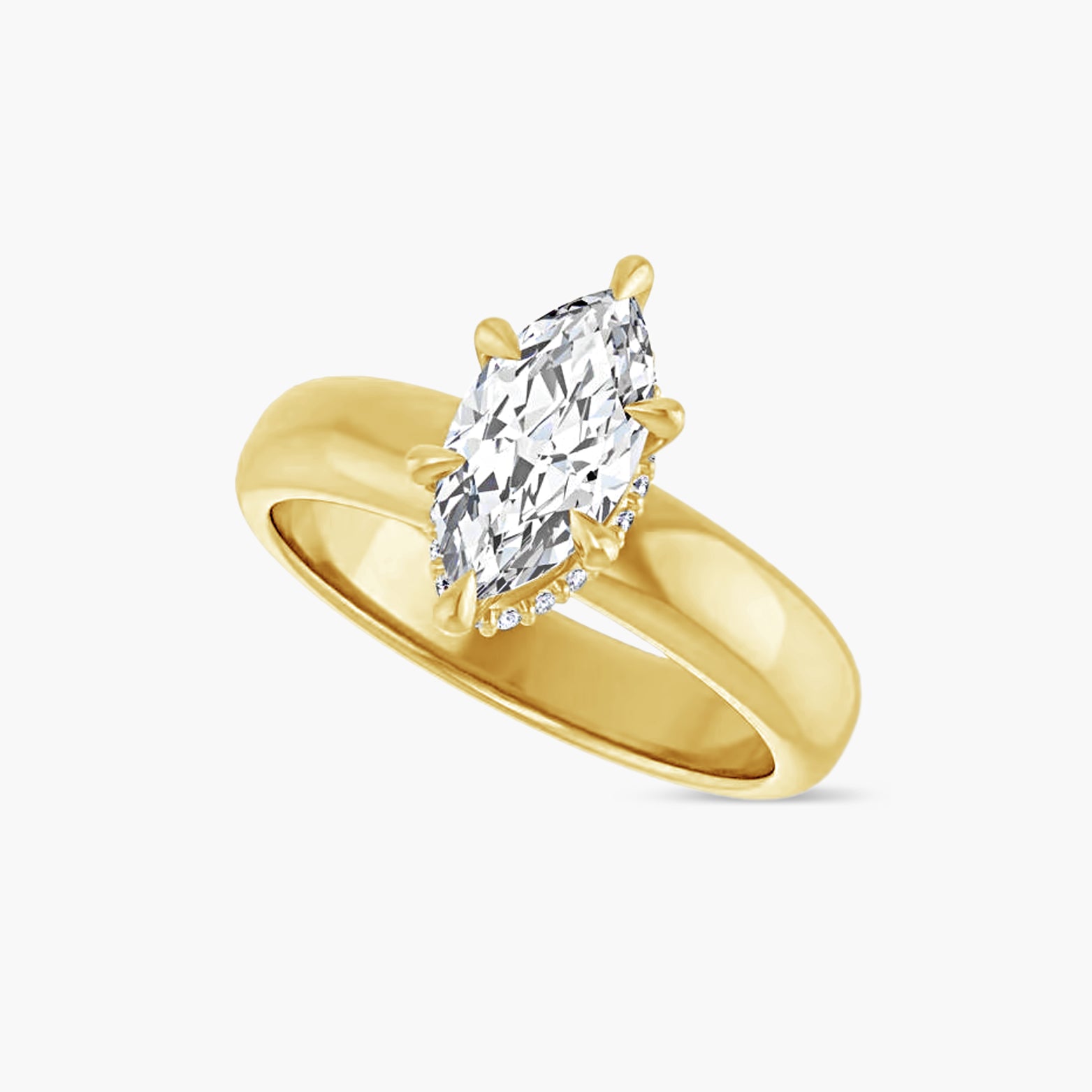 The Hidden Halo Wren