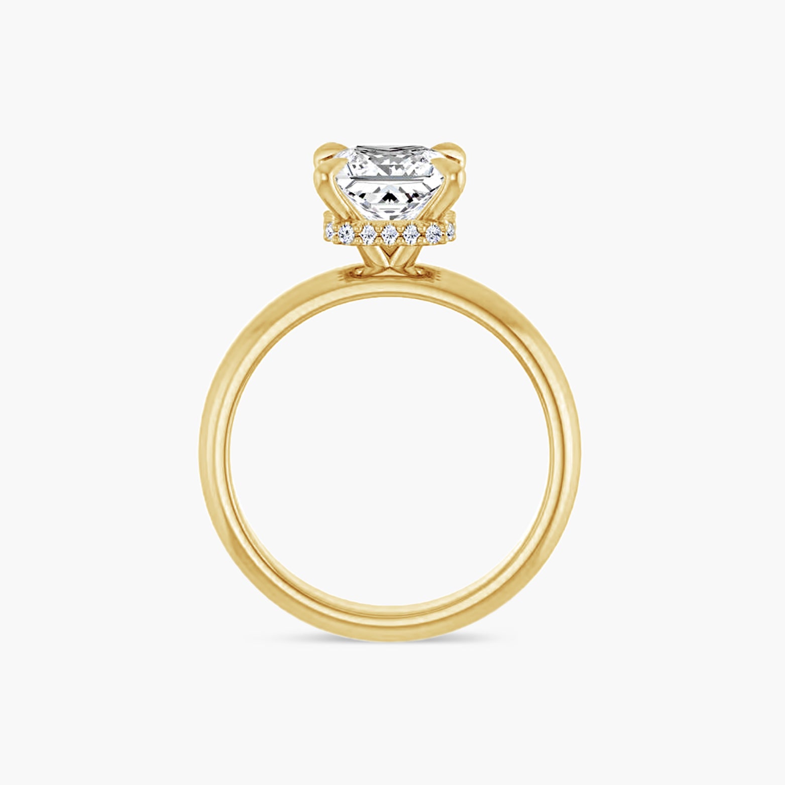 The Hidden Halo Wren