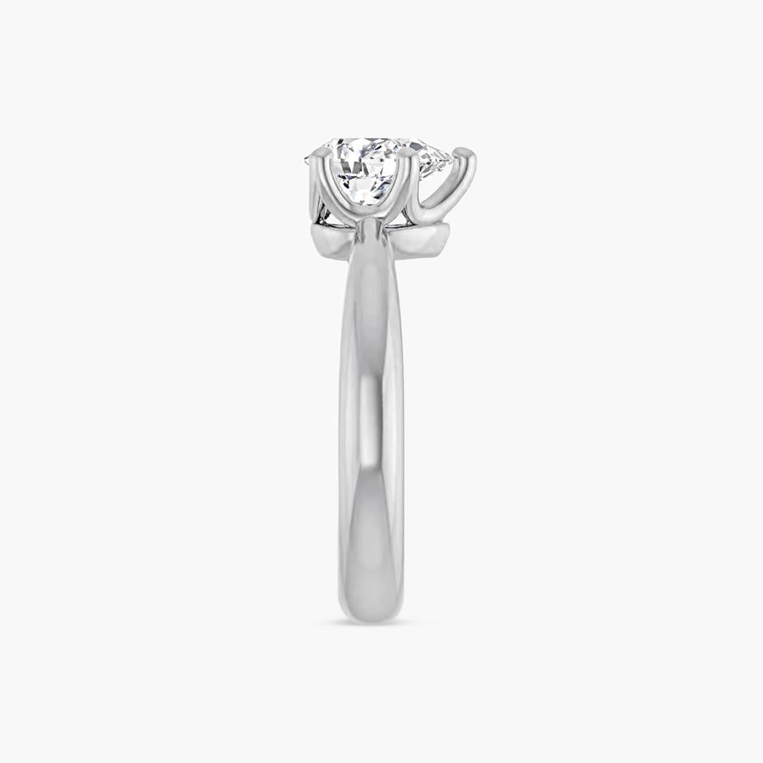 The Solitaire Ivy