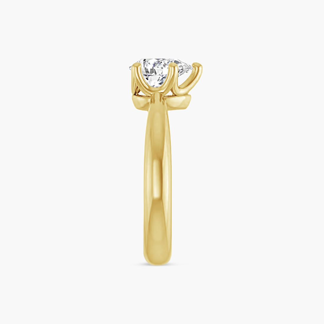 The Solitaire Ivy