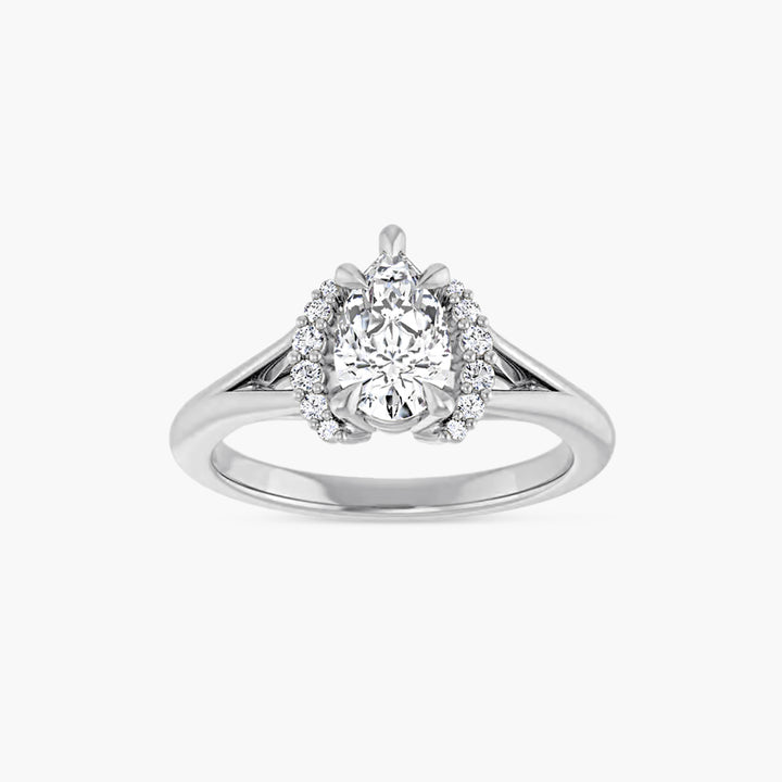 The Accented Iris  Pear