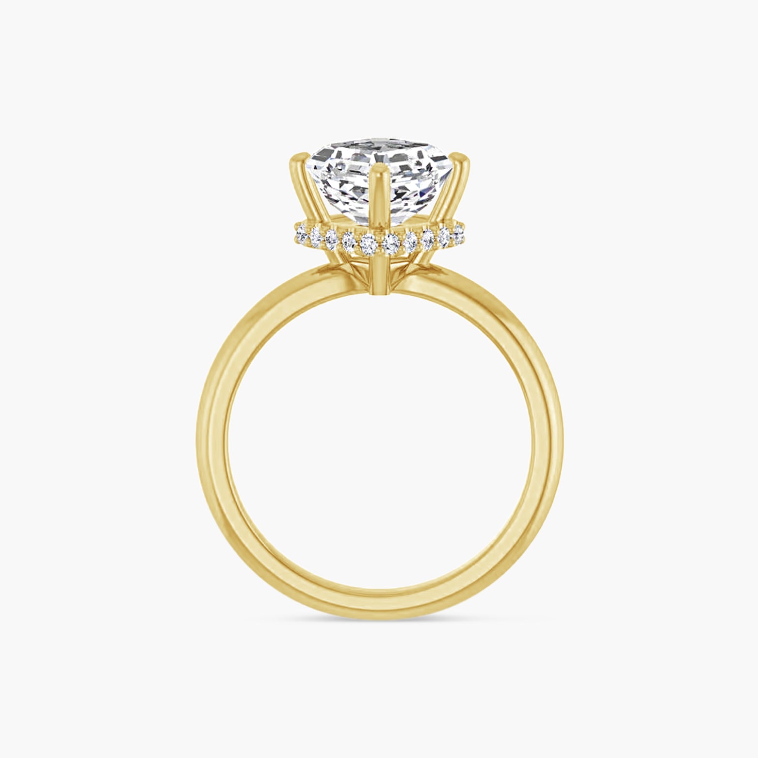 The Hidden Halo Mercy-Rae