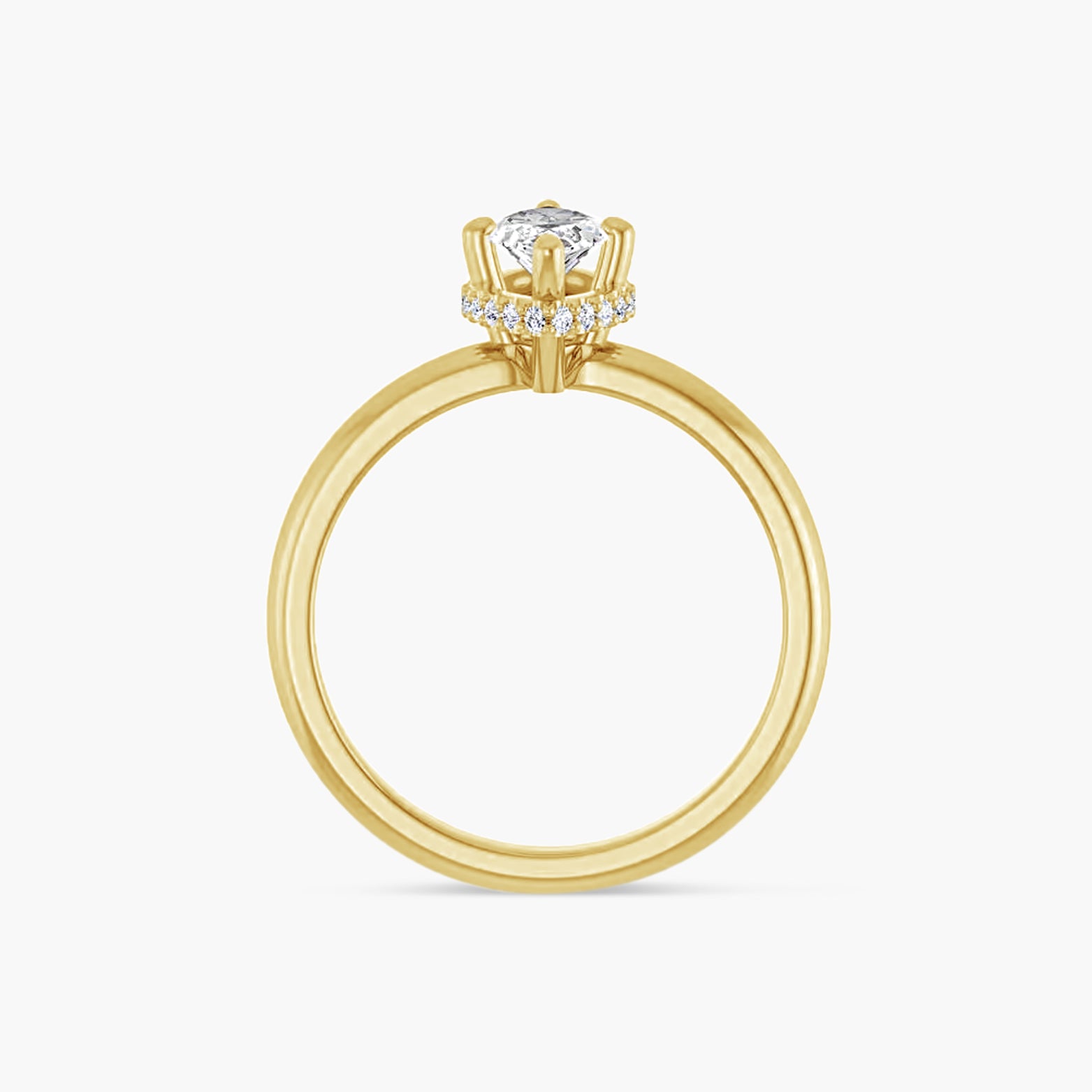 The Hidden Halo Mercy-Rae