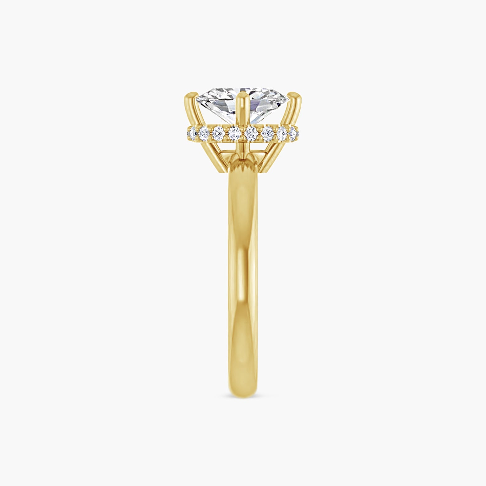 The Hidden Halo Mercy-Rae