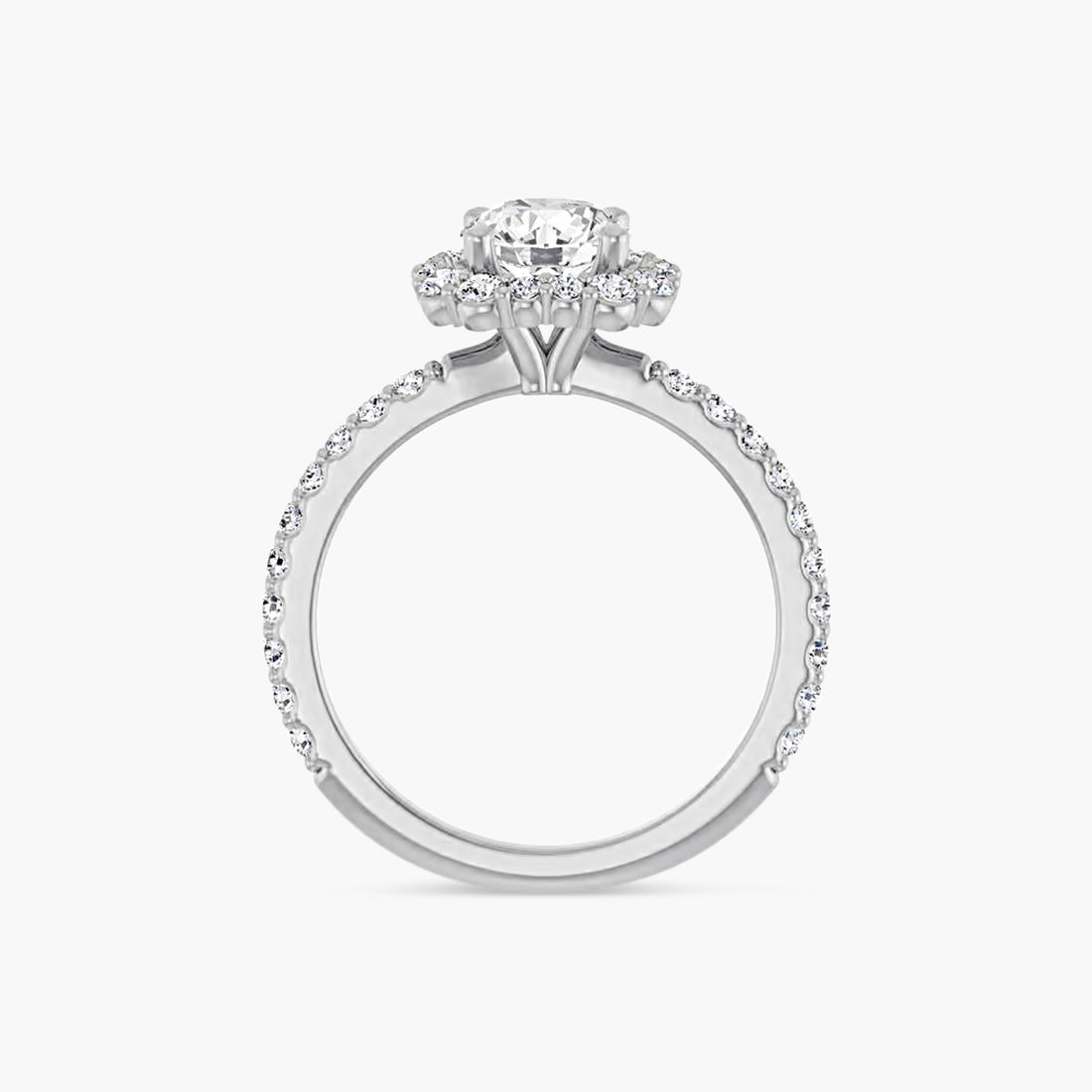 The Halo Thea