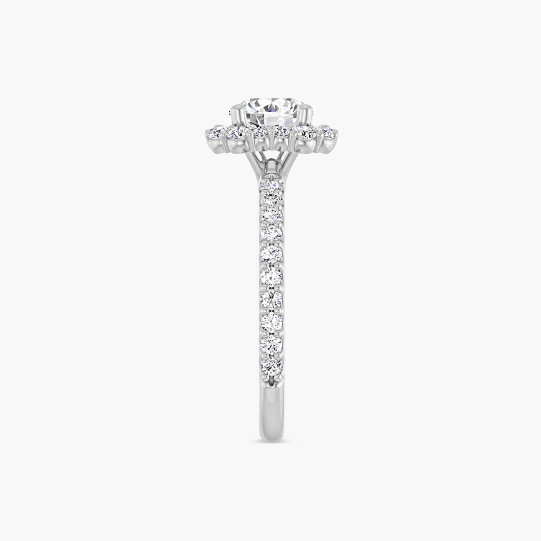 The Halo Thea