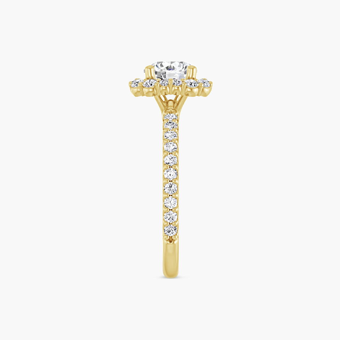The Halo Thea