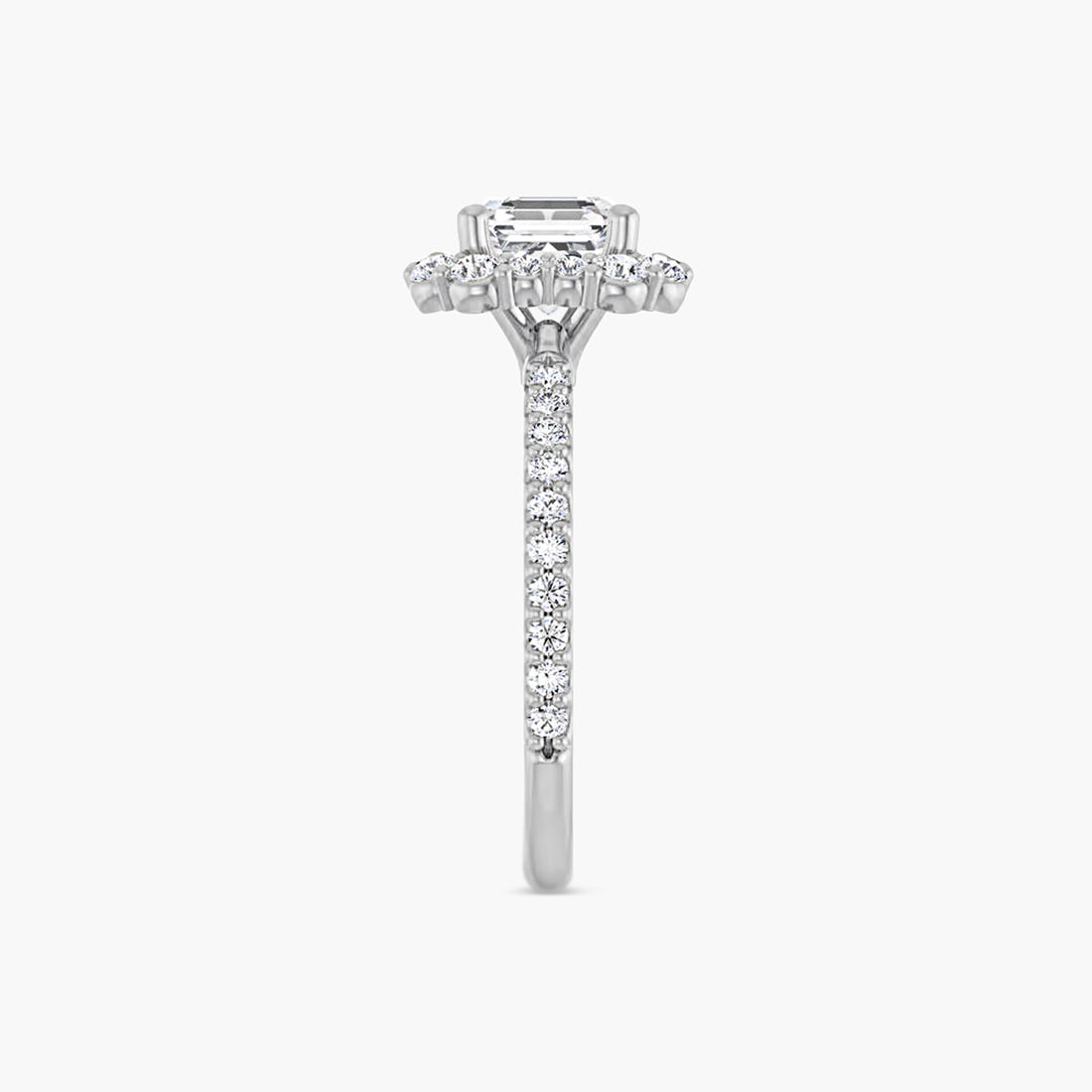 The Halo Thea