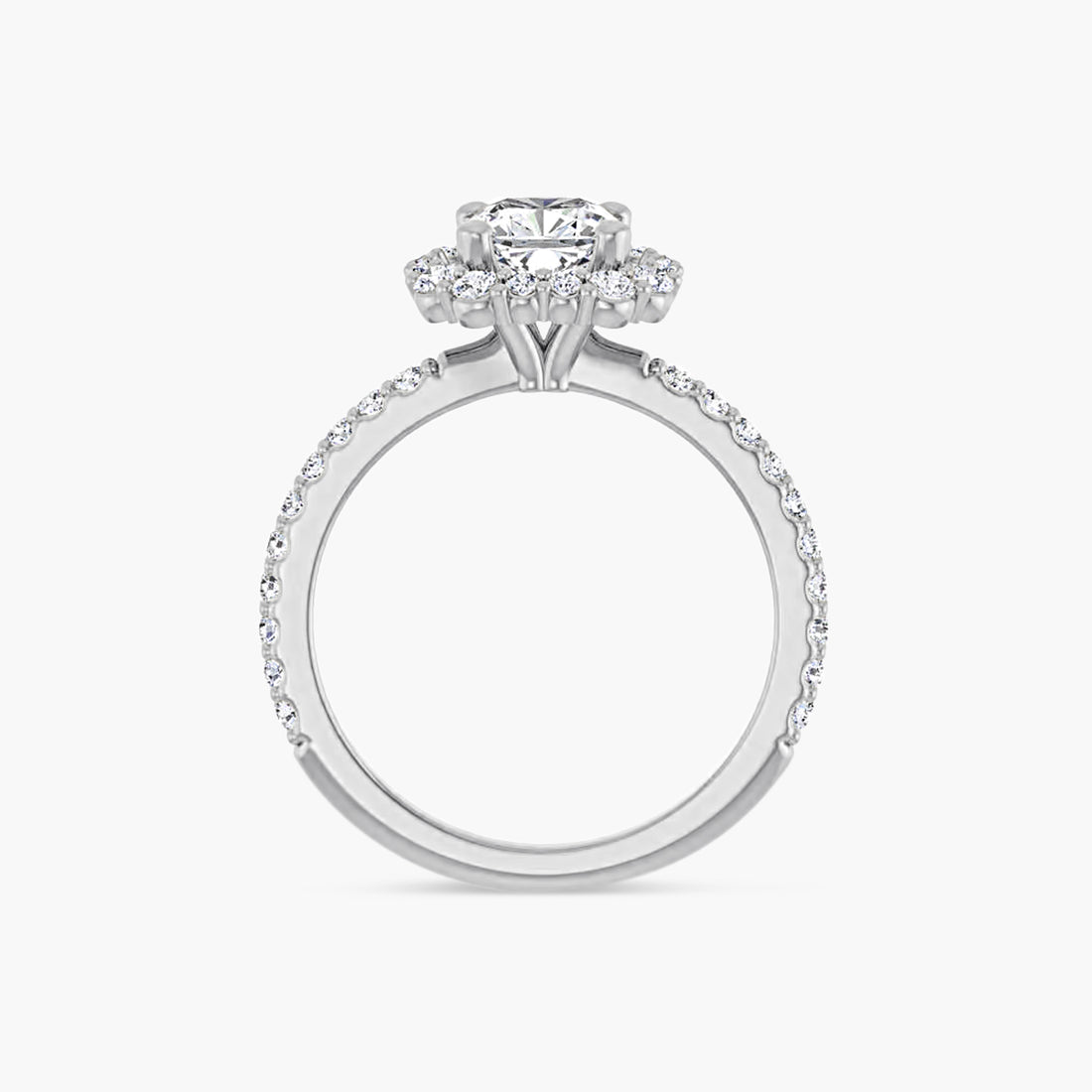 The Halo Thea
