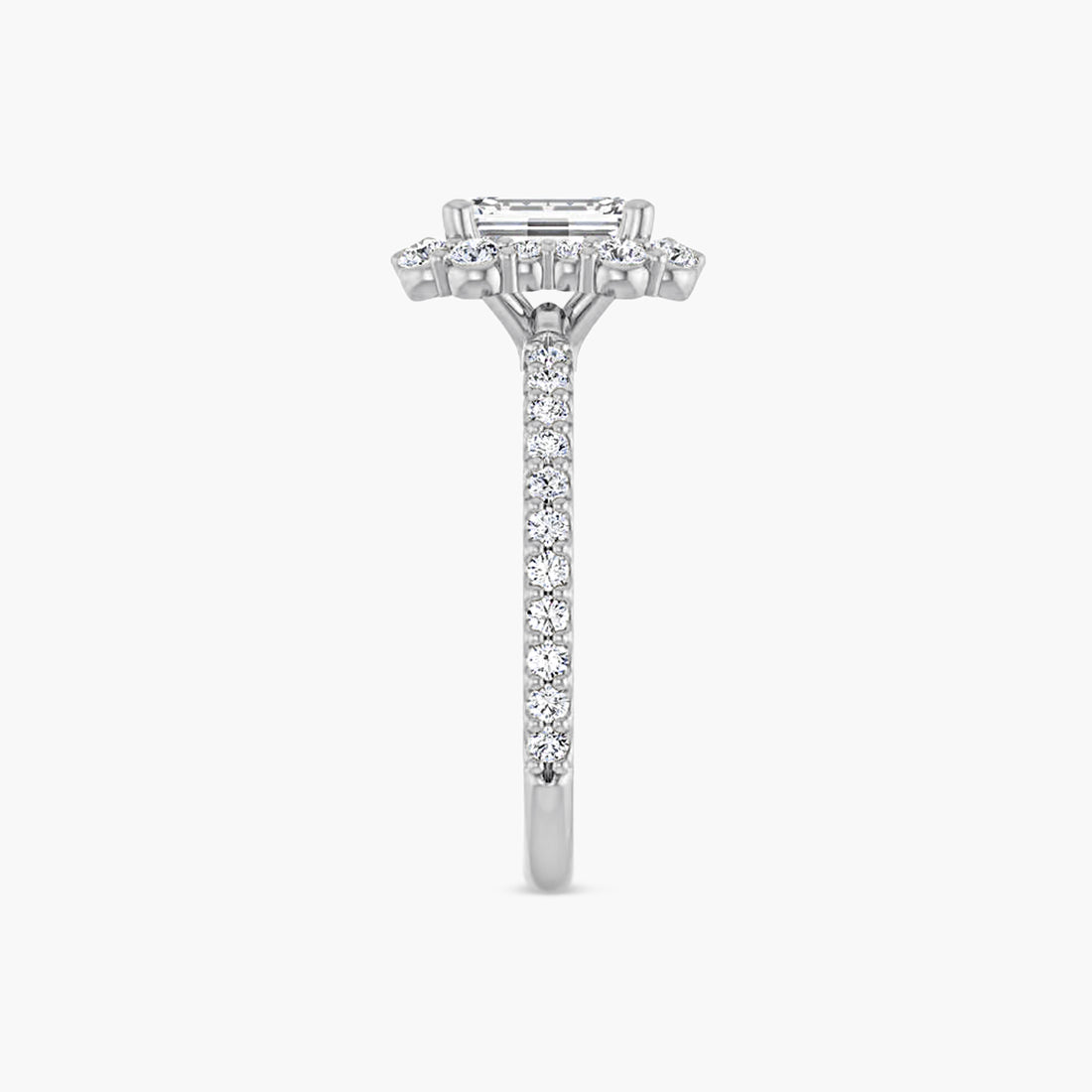 The Halo Thea