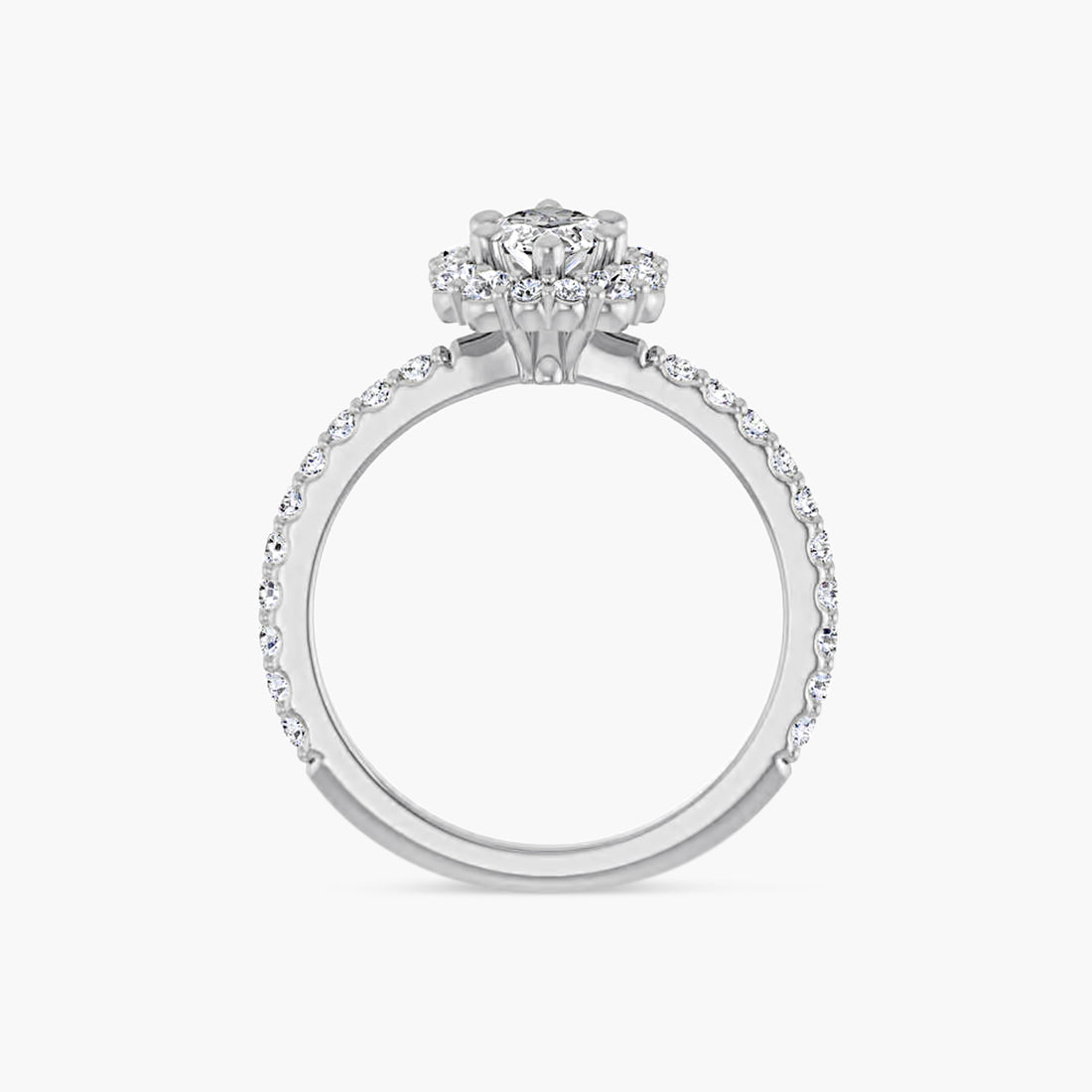 The Halo Thea