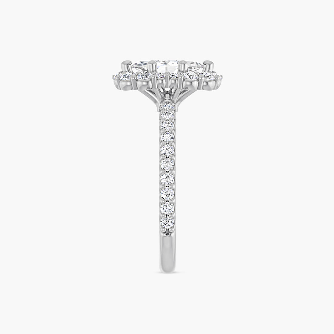 The Halo Thea