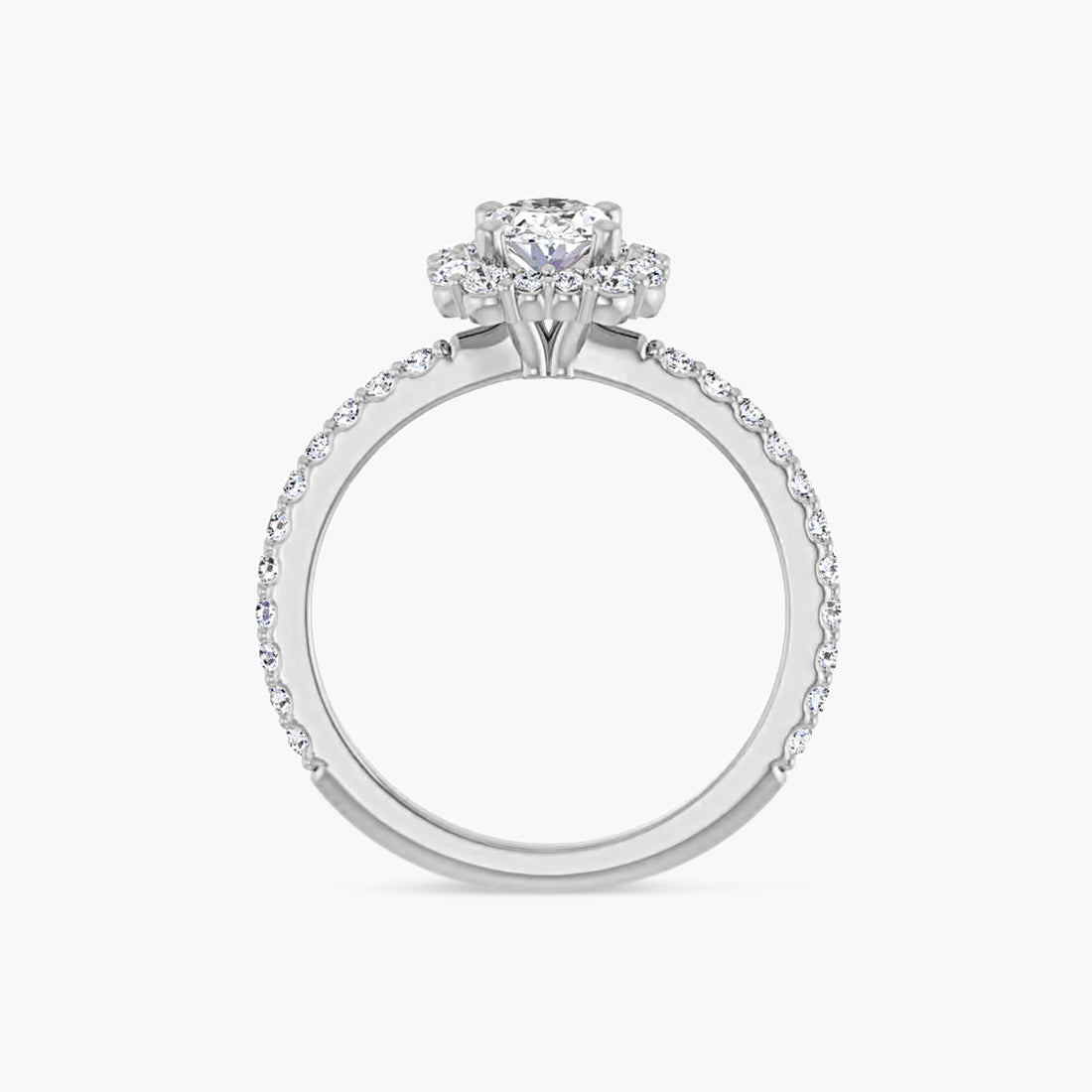 The Halo Thea