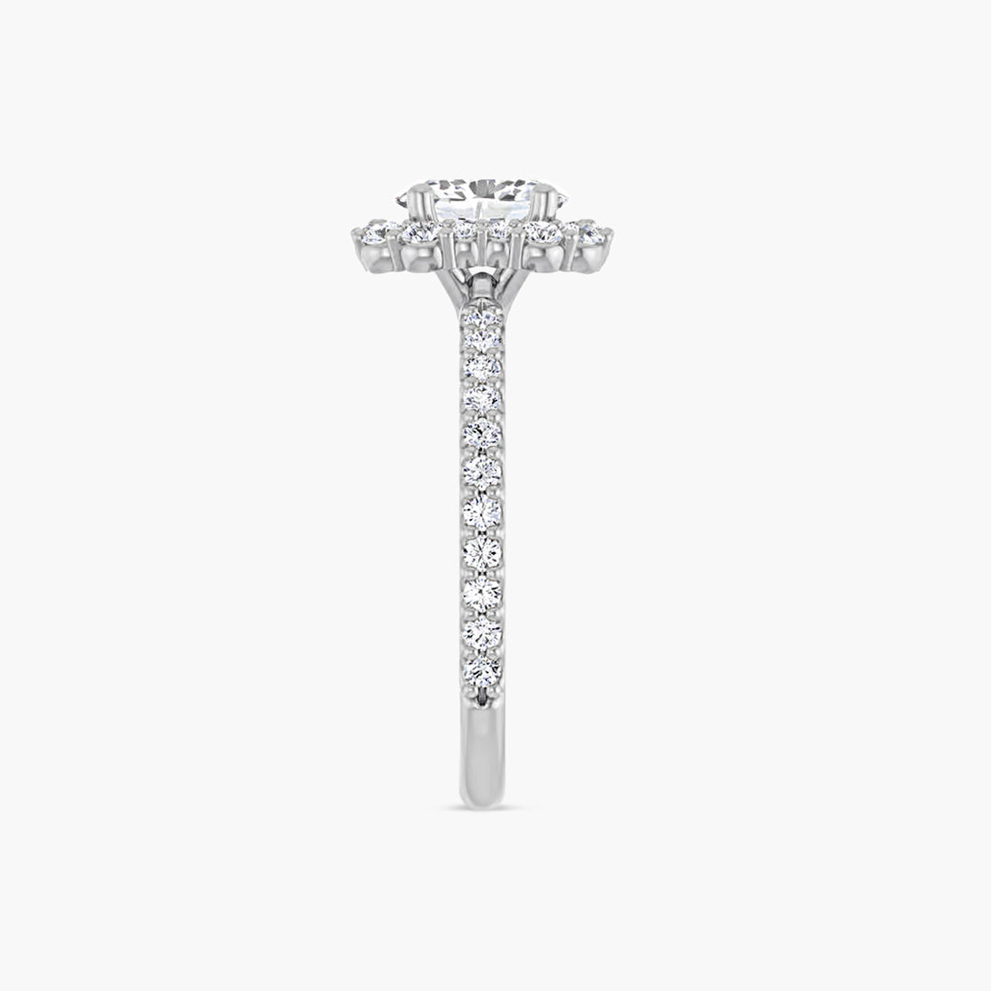 The Halo Thea