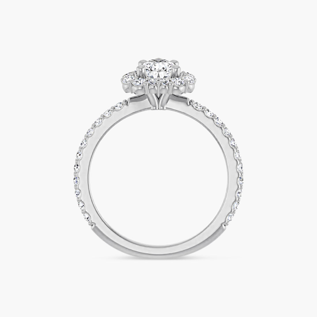 The Halo Thea