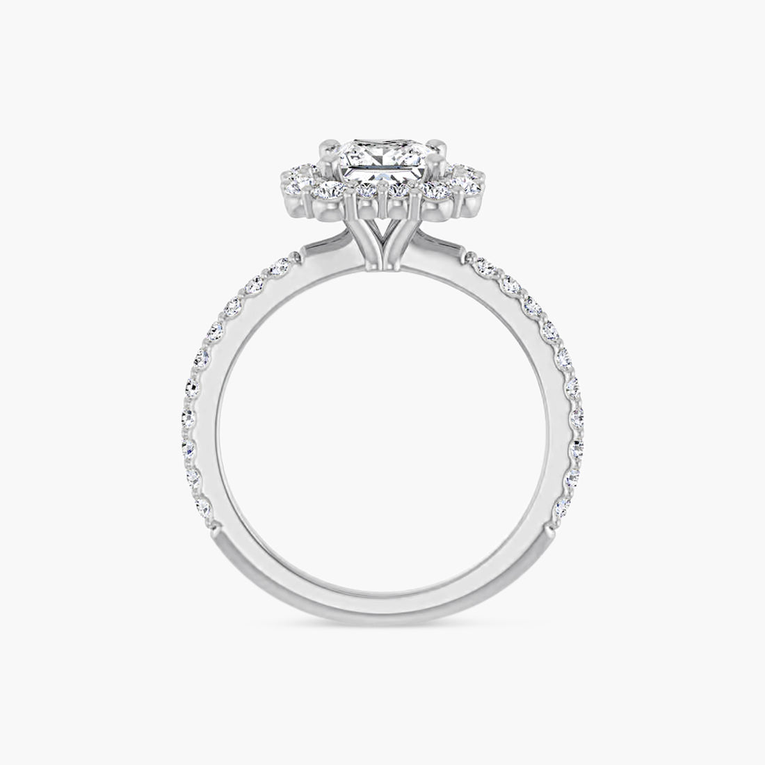 The Halo Thea