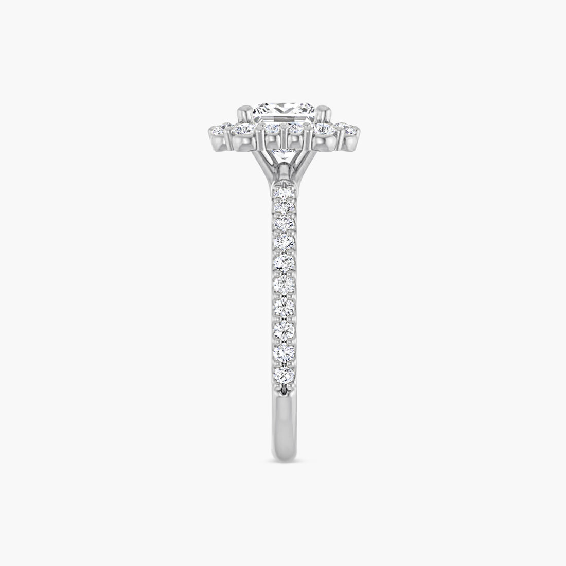 The Halo Thea