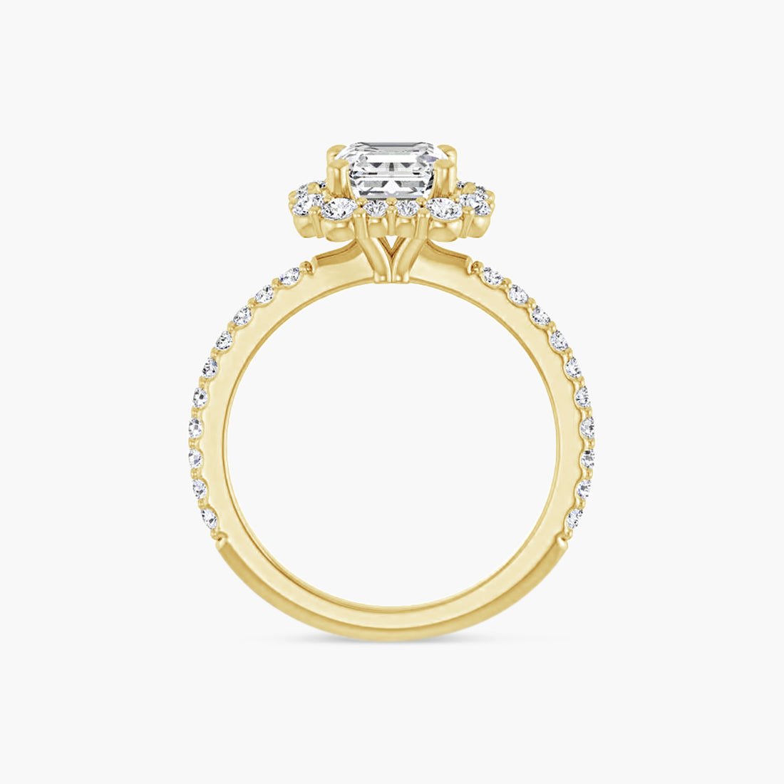 The Halo Thea