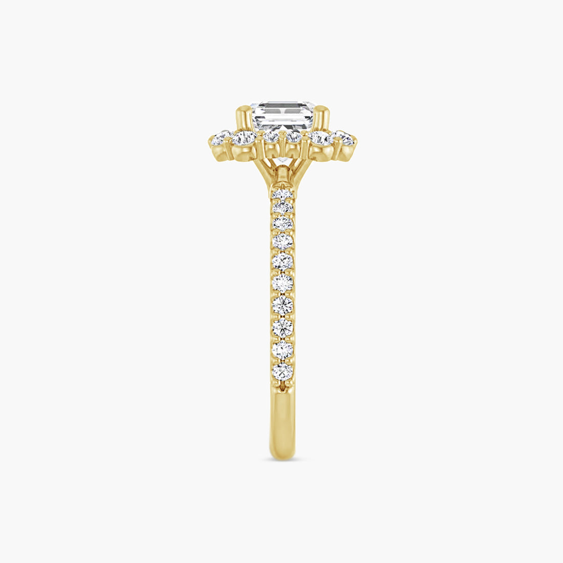 The Halo Thea