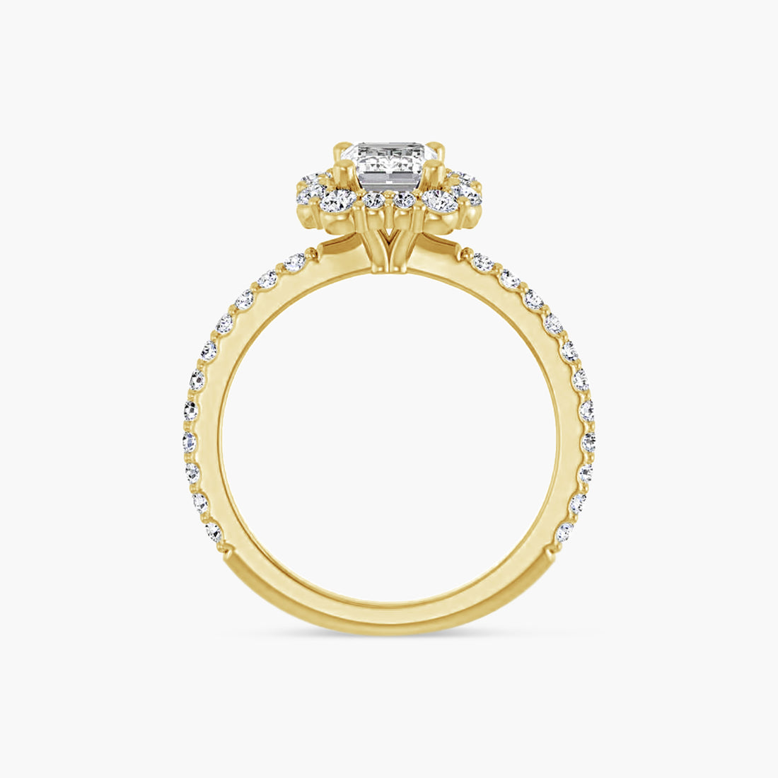 The Halo Thea