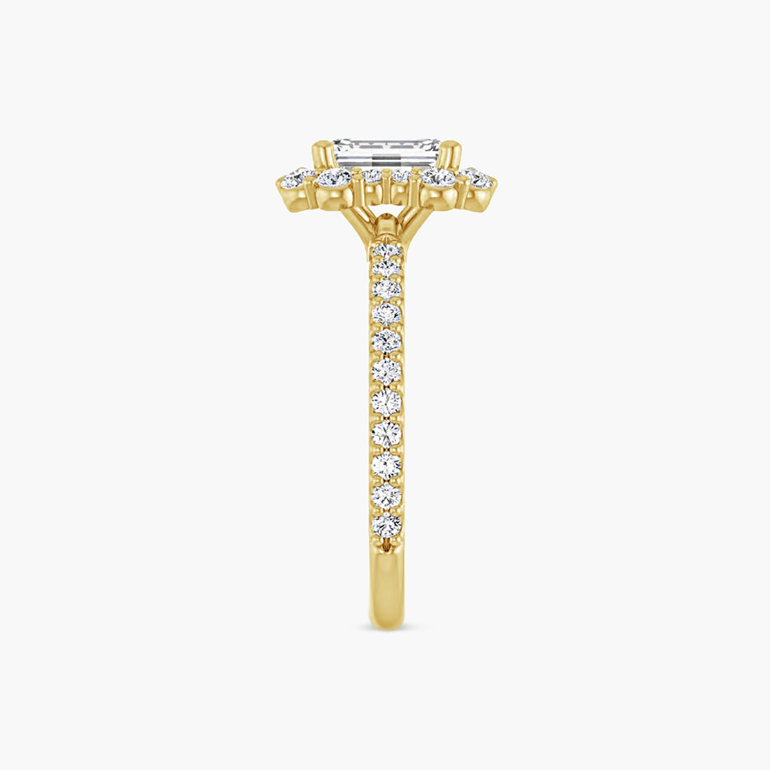 The Halo Thea