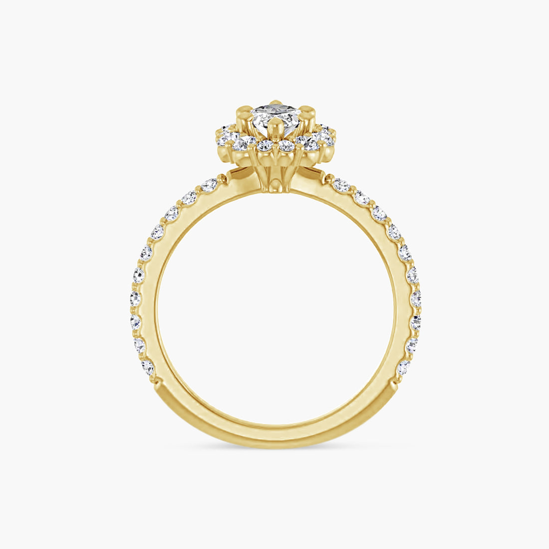 The Halo Thea