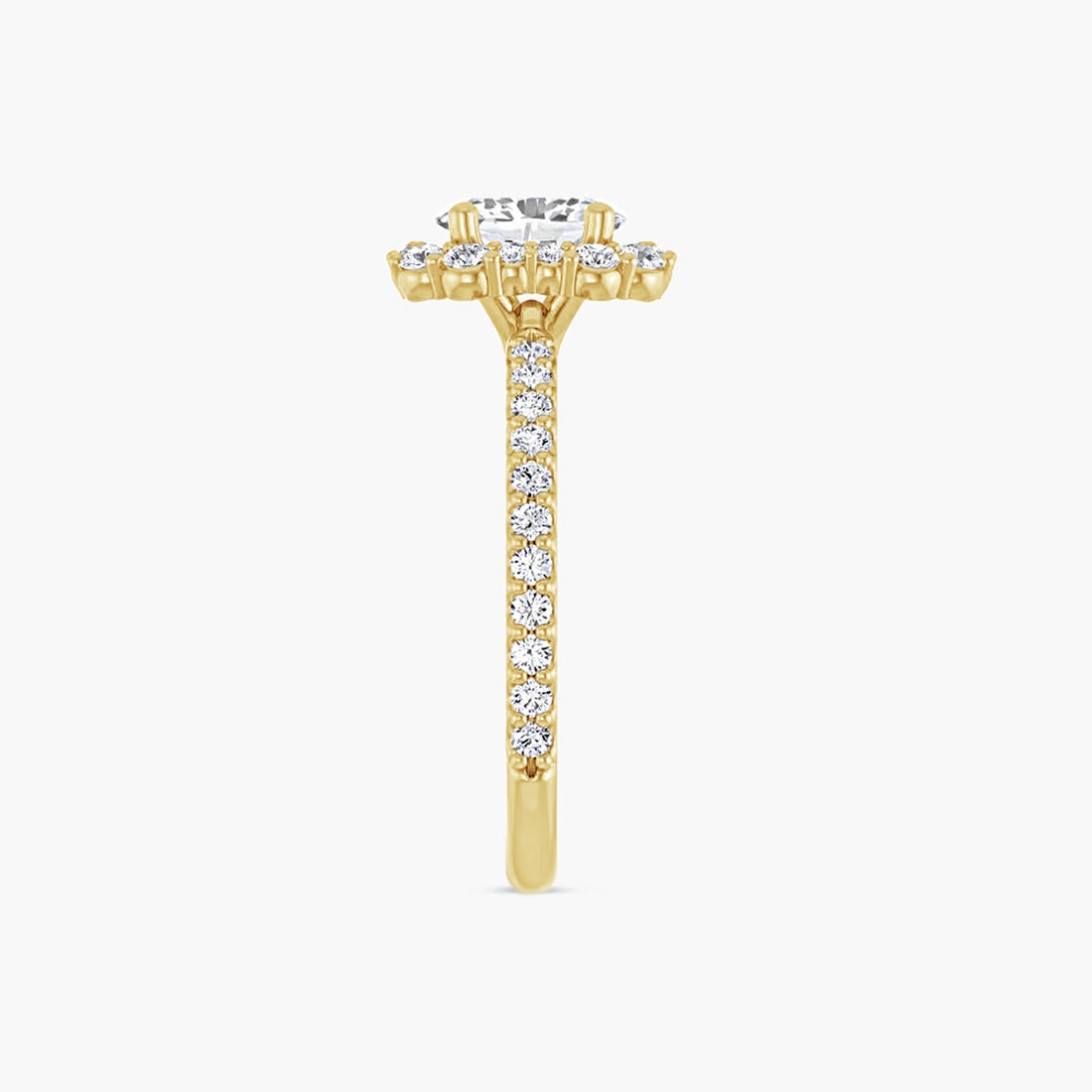 The Halo Thea