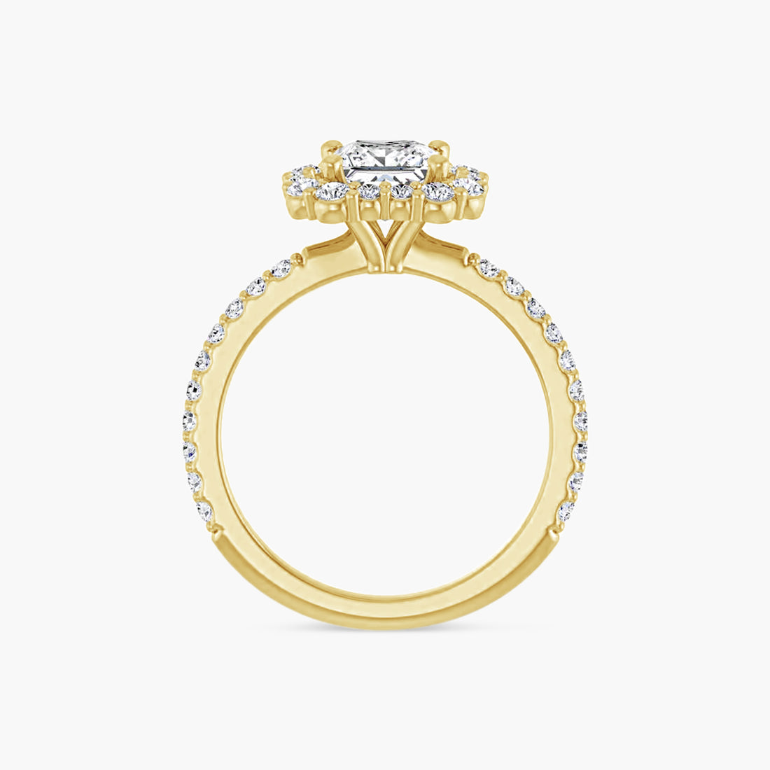 The Halo Thea