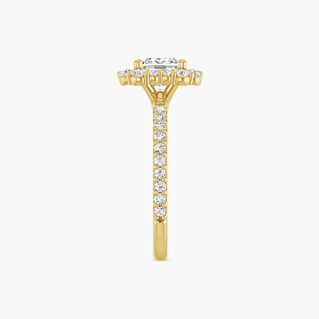 The Halo Thea