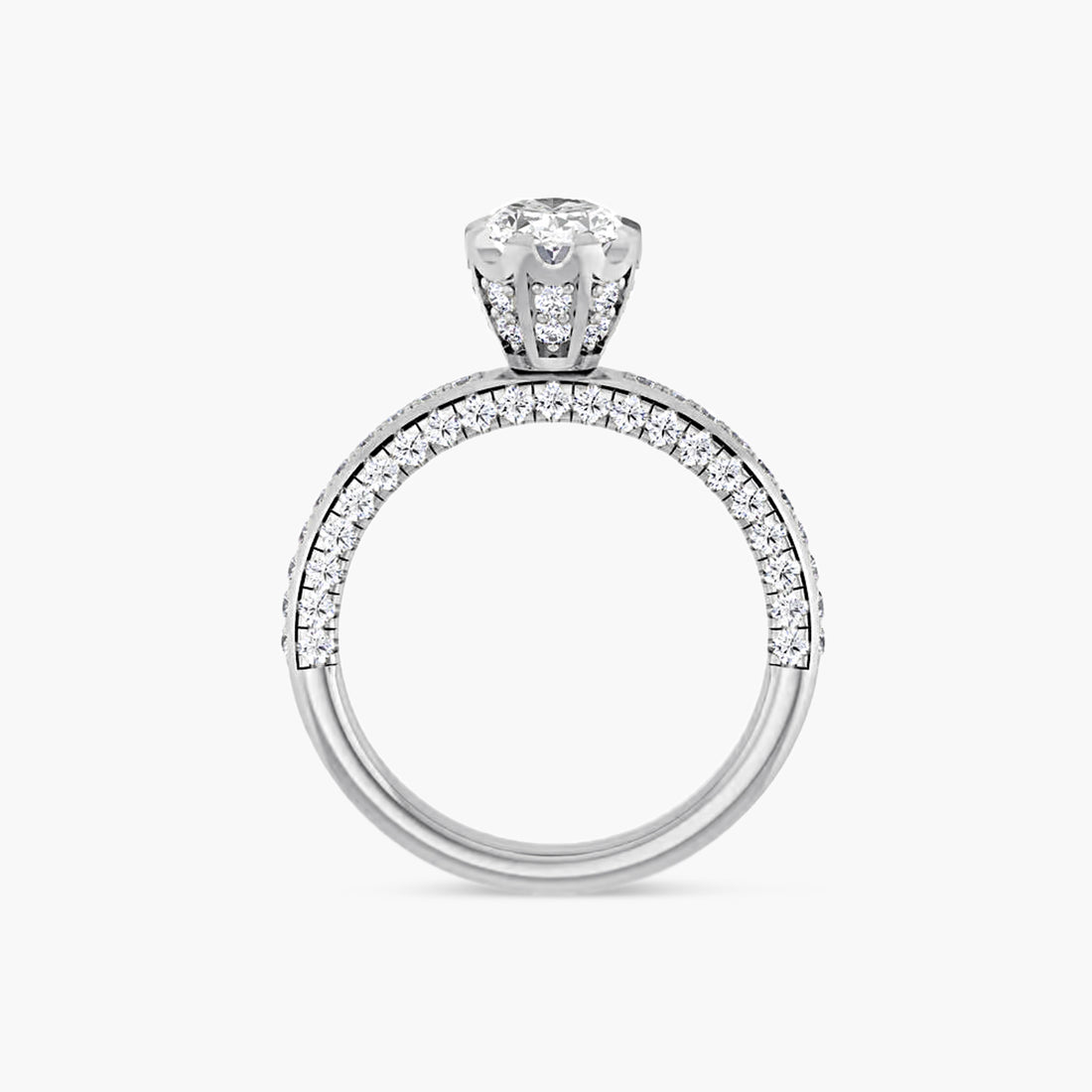 The Accented Lila
