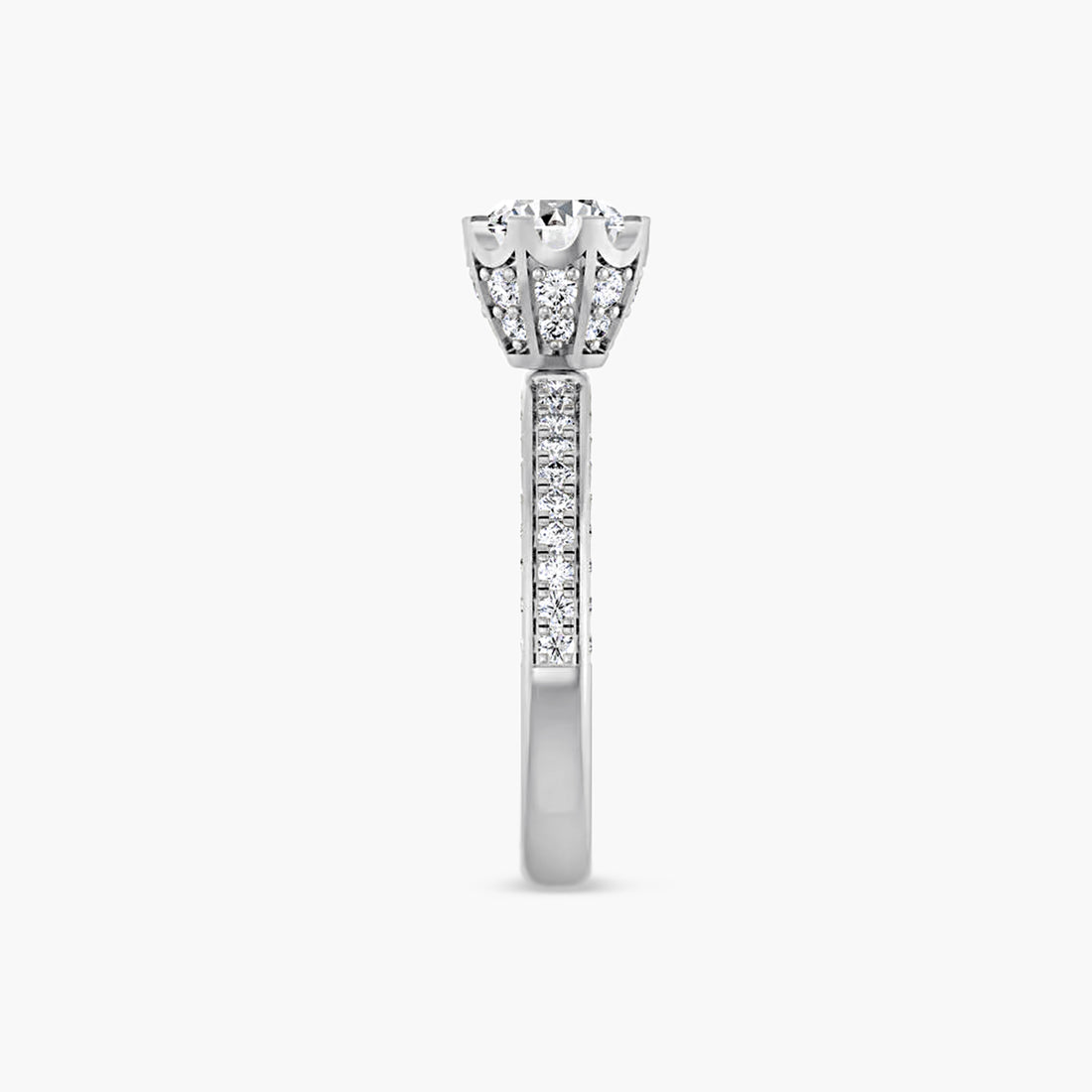 The Accented Lila